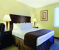 Best Western McCarran Inn