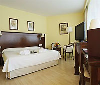 Hotel Fenix