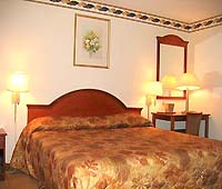 Red Carpet Inn New York City