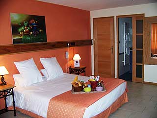 Hôtel et Spa Le Lion d'Or