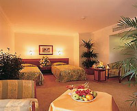 Lion Hotel