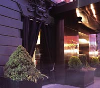 The Night Hotel