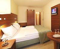 Hotel Wallis