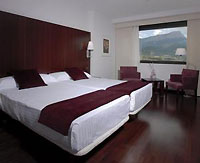 Hotel Reina Felicia